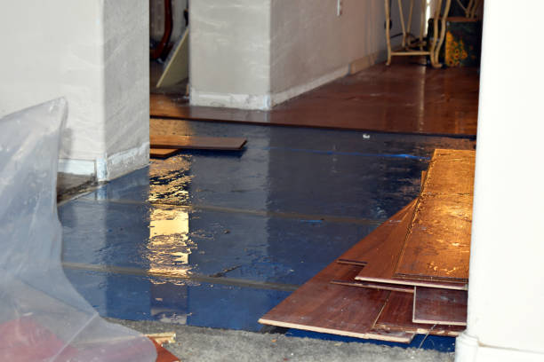 Professional Water Extraction technician working in Chesaning, MI